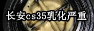 ����CS35�����黯����