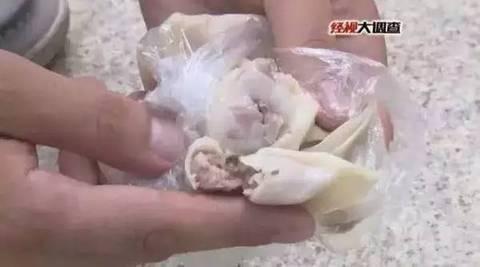 �������͡��ӹ����������ܰ��⡱ ������Ļ�����