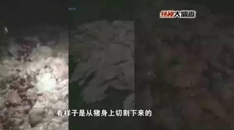 �������͡��ӹ����������ܰ��⡱ ������Ļ�����