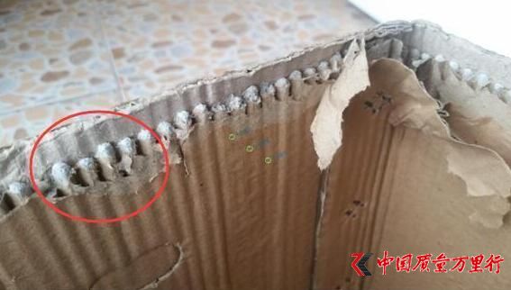 ������25��ƻ��ֽ���7��ˮ�� �ϰ壺��Ҫ��С��
