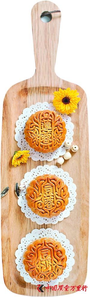 ����ӿ�ֲ��ٺ決������±����迴����ѡ�����Ӿ��й���