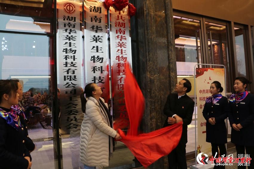 安化经济开发区工委副书记、园区企业党委书记夏轶、湖南华莱生物科技有限公司总裁张先枚共同为华莱党委揭牌