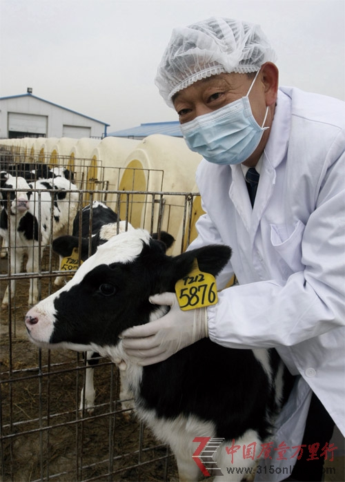 “奶荒”倒逼中国乳企向规模集约化转型