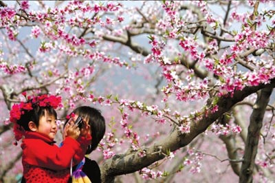 京华时报:旅游消费券馅饼还是鸡肋