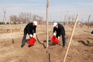 ���¾ֳ��μ�2010�ꡰ������ɫ��԰�������͹���������ֲ�����