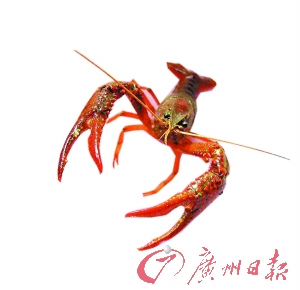 ϴϺ�۴���׻���ǿ�᳣����������(��ͼ)