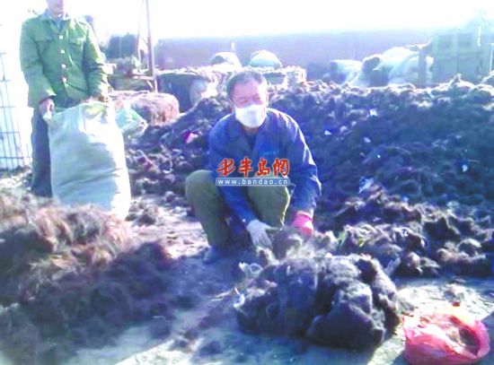 工人正在整理头发 工人正在整理头发