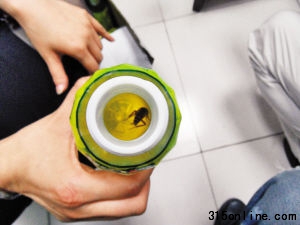 ���գ�����Ůʿ�ڴӲ���·ĳ�̳����ص������з���һֻ��롣 �����̱����� ������