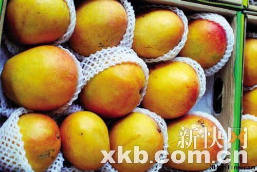 �����������ں������â������ν&ldquo;���ڰ�â&rdquo;������졣������/��