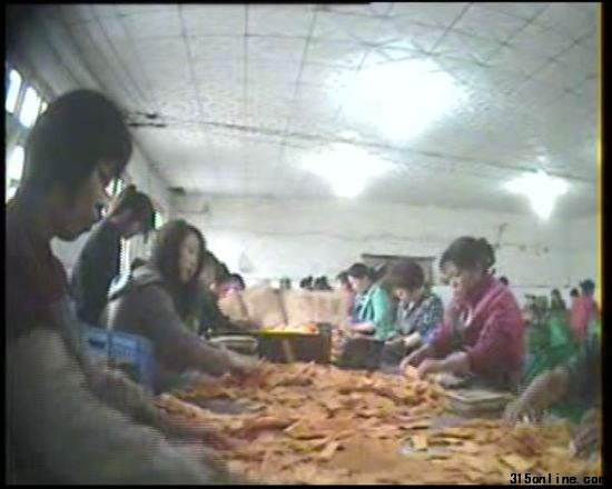 ͽ�ְ�װ