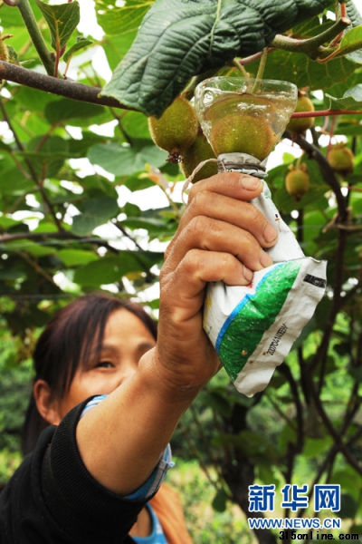 6��1�գ�������¥������¥���ũ���ù��Һõ�����պ��⨺����۹����»������ �²��� ��