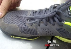 ������Ͷ��799Ԫ�Ϳ�Ь���������
