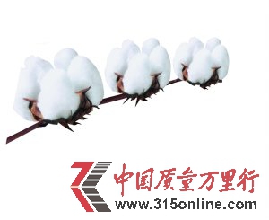 旧文胸垫加工成“黑心棉”