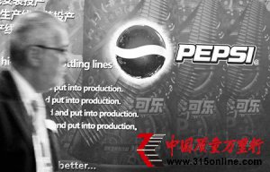 ���¹�˾(PEP)������ȫ������ṹ
