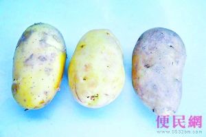 ���������ݻ�ѧҺ����������(ͼ)