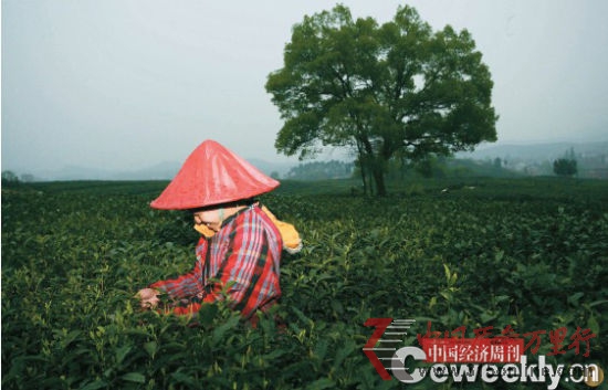 �������һλ�ɲ蹤������ÿ��ÿ��Ĺ�����90Ԫ����ũ�ܳԹ�ס����·�ѡ�������ˣ��ɲ蹤����һ���һ�����ҡ�