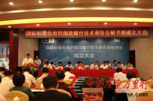 ���ʱ�׼����֯�̻�������ίԱ�����鴦�������
