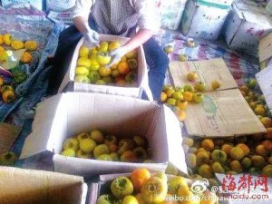 �����ظ����̷���������ע��Һ�� �����Ǵ����