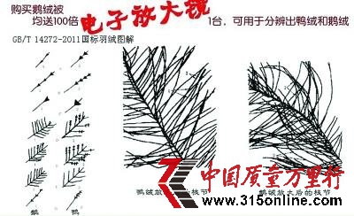 ý���������Ʒ��Ļ������Ǯ��˿ð�伸�ٿ����