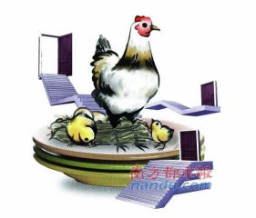 �ٳɼ��粨����û���� һ���յ�4�����ּ�