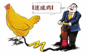 �ϵ»�����ֹͣ�뱻���鼦�⹩Ӧ�̺���