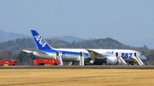 ����787��������ձ�ȫ��ͣ��