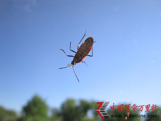 微软发布57个安全补丁 捉BUG谷歌工程师贡献过半