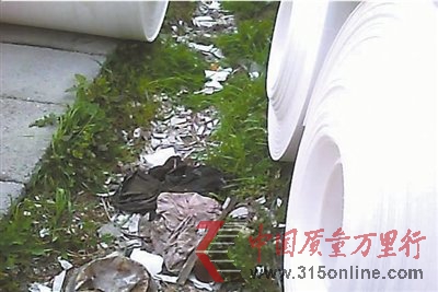 ʵ�ص��鷢�ݲ;���������״������ �����̫����