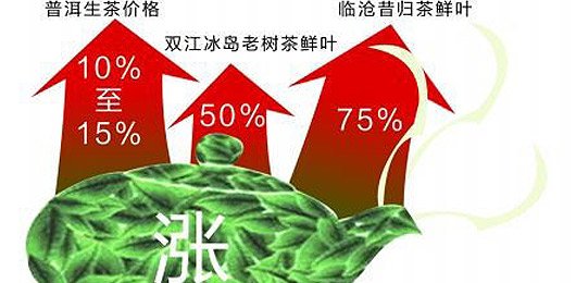 财经观察:谁是普洱茶暴涨的推手?