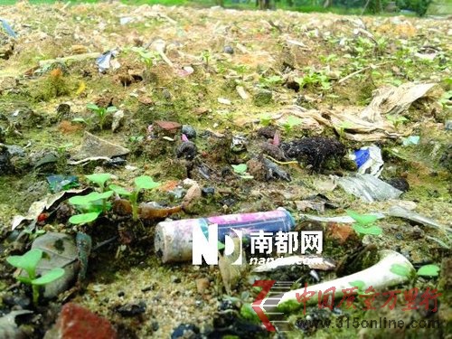 (被曝光半年后,番禺金山村菜地里,仍然随处可见废电池。图片来源:南都记者 杨希越 摄)
